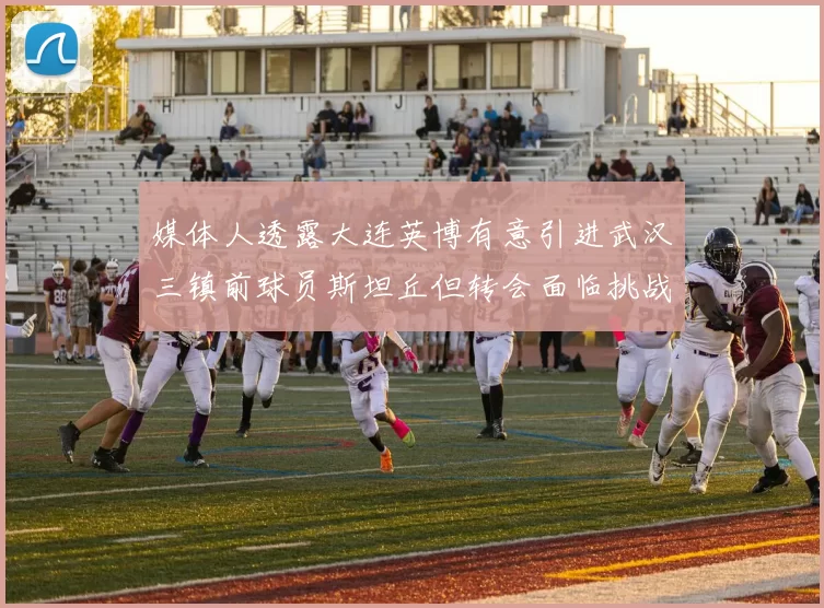 媒体人透露大连英博有意引进武汉三镇前球员斯坦丘但转会面临挑战