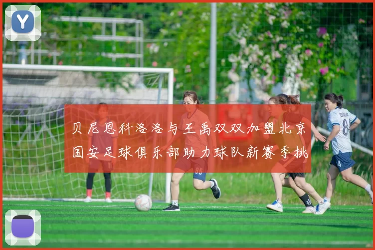 贝尼恩科洛洛与王禹双双加盟北京国安足球俱乐部助力球队新赛季挑战